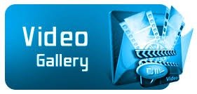 Video Gallery